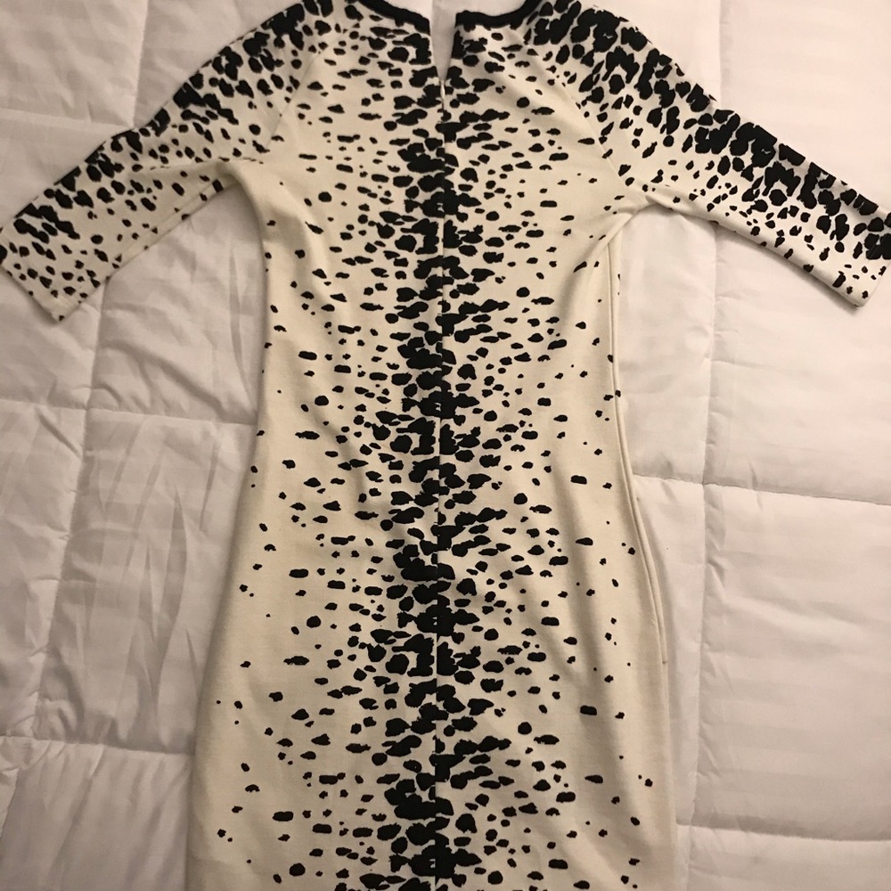 French Connection Dress - Picture 3 of 3